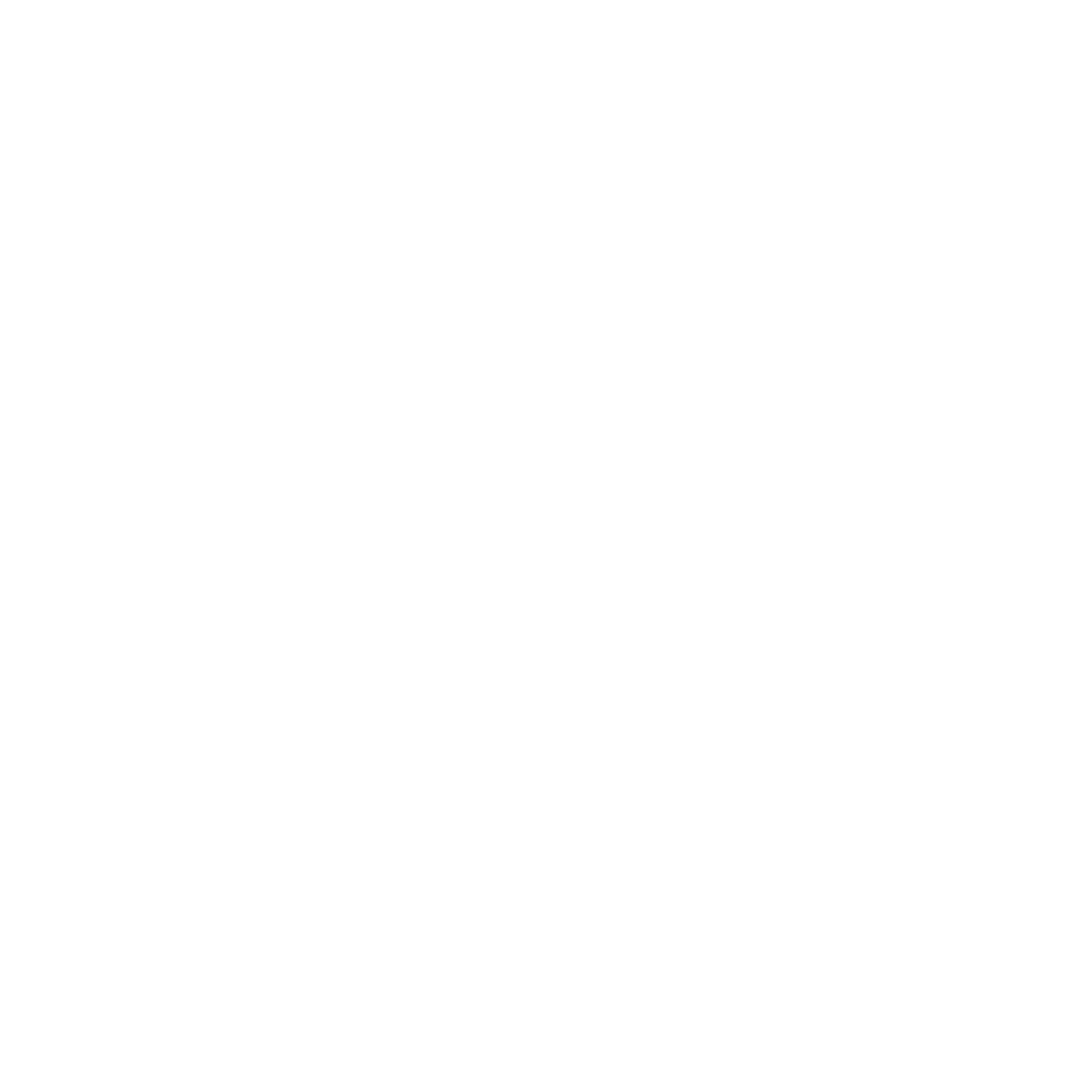 DIGMAN